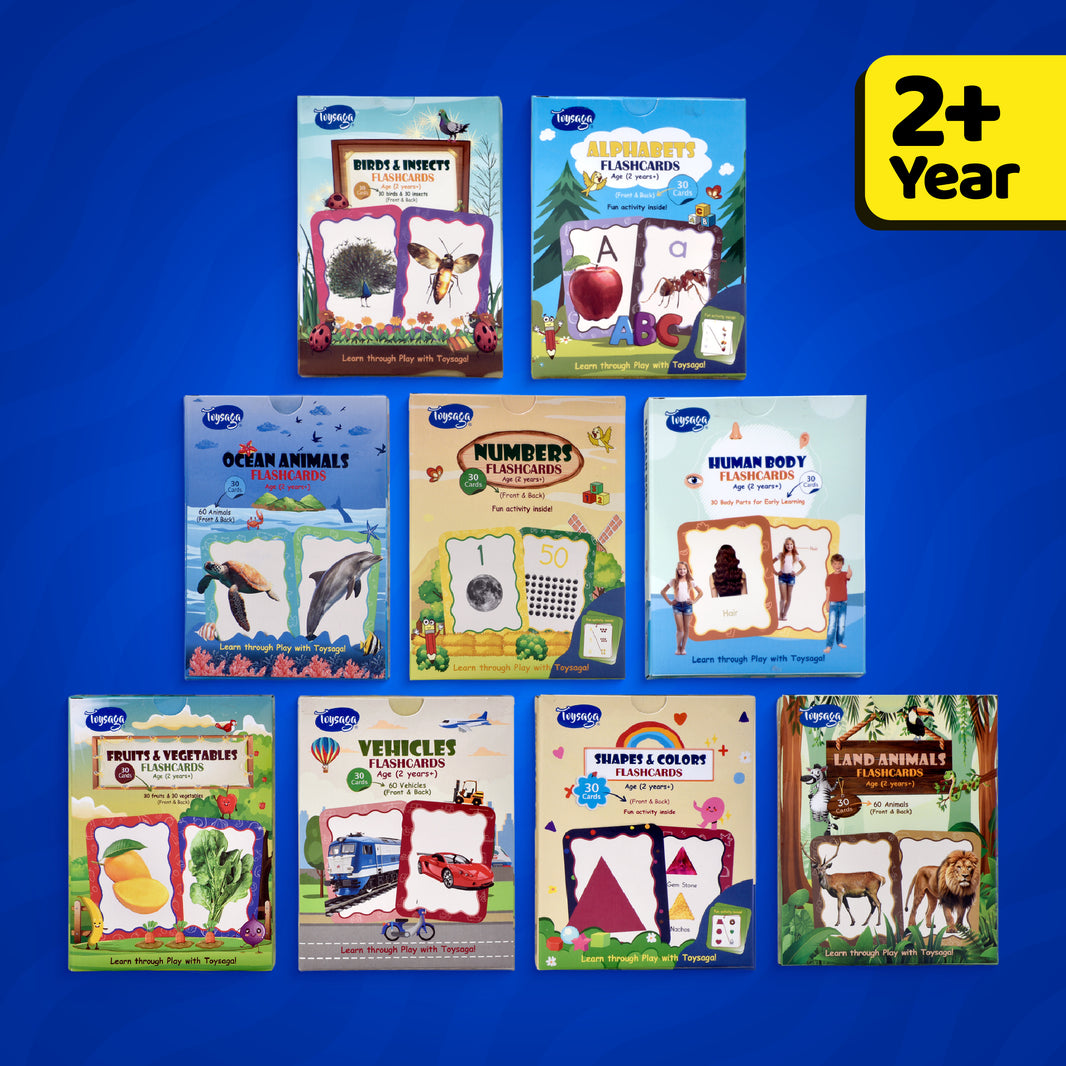 Toysaga 9-in-1 Flashcards Set