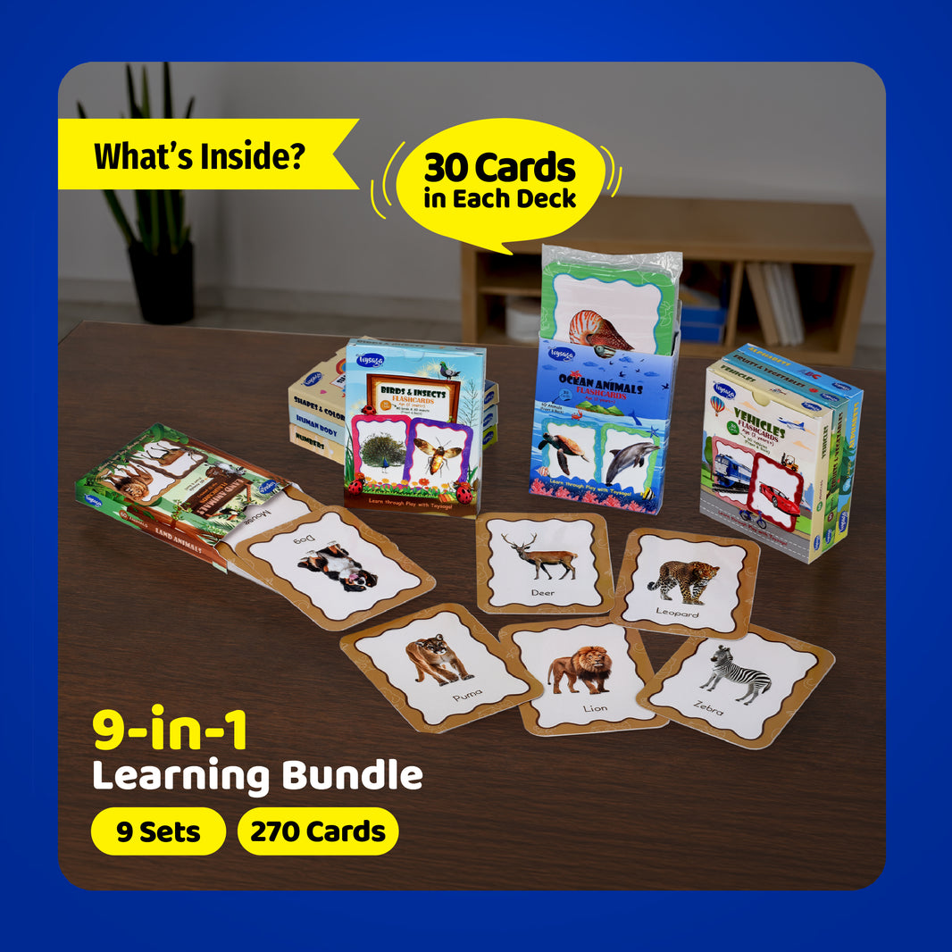 Toysaga 9-in-1 Flashcards Set