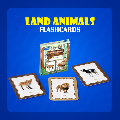 Toysaga 9-in-1 Flashcards Mega Combo