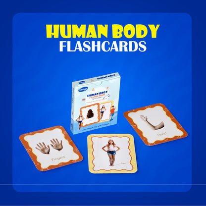 Toysaga 9-in-1 Flashcards Mega Combo
