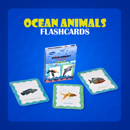 Toysaga 9-in-1 Flashcards Mega Combo