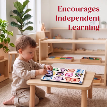 Toysaga Peek & Place Wooden Number Educational Puzzle for Kids with 4 Learning Activity